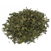 Nettle Leaf 1 Oz. (Urtica dioica)